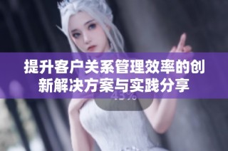 提升客户关系管理效率的创新解决方案与实践分享