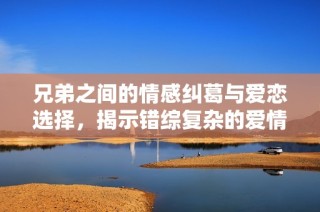兄弟之间的情感纠葛与爱恋选择，揭示错综复杂的爱情故事