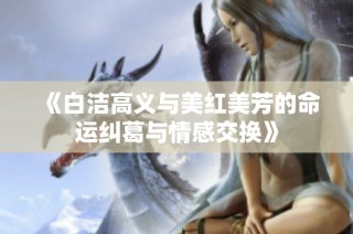 《白洁高义与美红美芳的命运纠葛与情感交换》