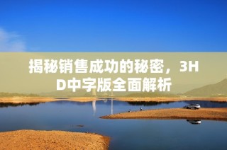 揭秘销售成功的秘密，3HD中字版全面解析