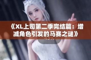 《XL上司第二季完结篇：增减角色引发的马赛之谜》