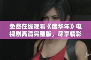 免费在线观看《度华年》电视剧高清完整版，尽享精彩剧集与感人故事