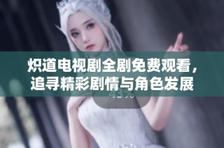 炽道电视剧全剧免费观看，追寻精彩剧情与角色发展