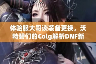体验服大哥谈装备更换，沃特碧们的Colg解析DNF新机制