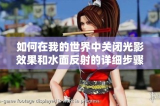 如何在我的世界中关闭光影效果和水面反射的详细步骤解析