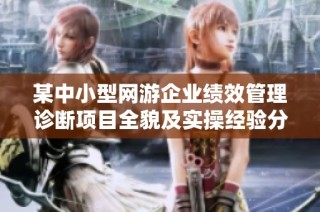 某中小型网游企业绩效管理诊断项目全貌及实操经验分享
