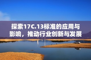 探索17C.13标准的应用与影响，推动行业创新与发展新路径