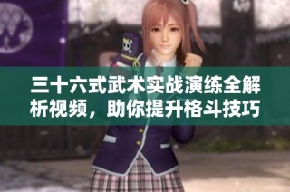 三十六式武术实战演练全解析视频，助你提升格斗技巧