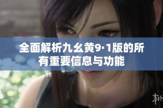 全面解析九幺黄9·1版的所有重要信息与功能