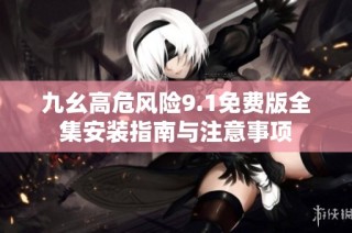 九幺高危风险9.1免费版全集安装指南与注意事项