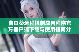 向日葵远程控制应用程序官方客户端下载与使用指南分享