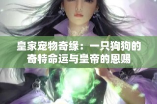 皇家宠物奇缘：一只狗狗的奇特命运与皇帝的恩赐