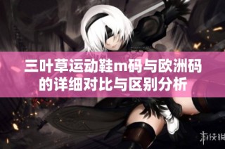 三叶草运动鞋m码与欧洲码的详细对比与区别分析