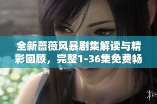 全新蔷薇风暴剧集解读与精彩回顾，完整1-36集免费畅享！