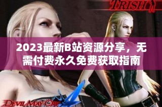 2023最新B站资源分享，无需付费永久免费获取指南