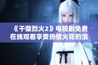 《干柴烈火2》电视剧免费在线观看享受热情火花的浪漫故事