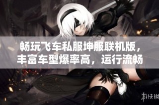 畅玩飞车私服坤服联机版，丰富车型爆率高，运行流畅体验无限