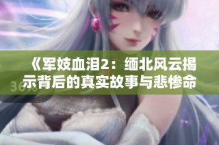 《军妓血泪2：缅北风云揭示背后的真实故事与悲惨命运》