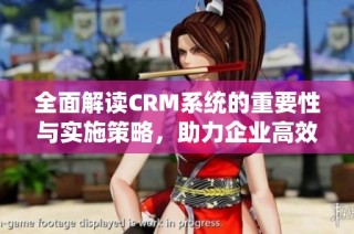 全面解读CRM系统的重要性与实施策略，助力企业高效管理客户关系