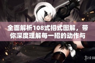 全面解析108式招式图解，带你深度理解每一招的动作与要领