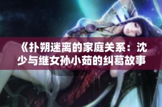 《扑朔迷离的家庭关系：沈少与继女孙小茹的纠葛故事》