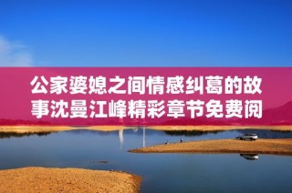公家婆媳之间情感纠葛的故事沈曼江峰精彩章节免费阅读