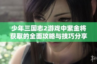 少年三国志2游戏中紫金将获取的全面攻略与技巧分享
