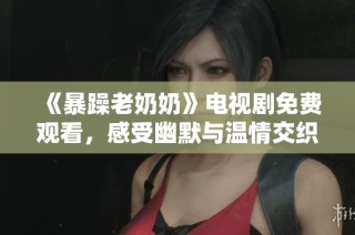 《暴躁老奶奶》电视剧免费观看，感受幽默与温情交织的家庭故事