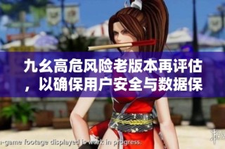 九幺高危风险老版本再评估，以确保用户安全与数据保护