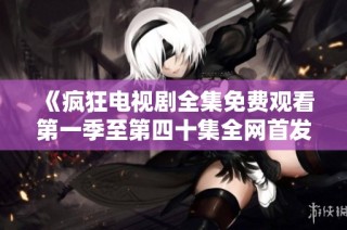 《疯狂电视剧全集免费观看第一季至第四十集全网首发》