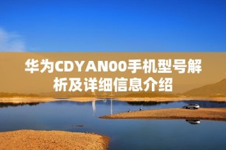 华为CDYAN00手机型号解析及详细信息介绍