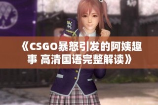《CSGO暴怒引发的阿姨趣事 高清国语完整解读》