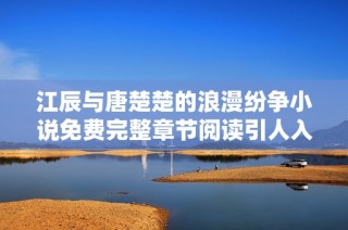 江辰与唐楚楚的浪漫纷争小说免费完整章节阅读引人入胜