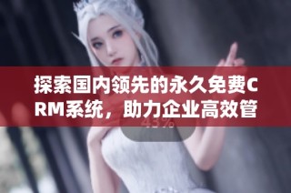 探索国内领先的永久免费CRM系统，助力企业高效管理客户关系