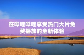 在哔哩哔哩享受热门大片免费播放的全新体验