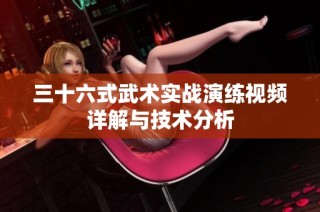 三十六式武术实战演练视频详解与技术分析