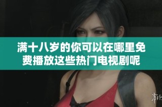 满十八岁的你可以在哪里免费播放这些热门电视剧呢
