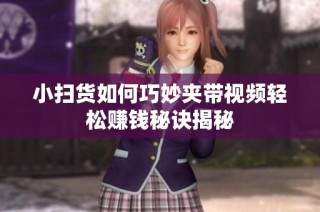 小扫货如何巧妙夹带视频轻松赚钱秘诀揭秘