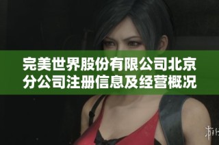 完美世界股份有限公司北京分公司注册信息及经营概况分析