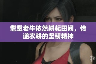 耄耋老牛依然耕耘田间，传递农耕的坚韧精神