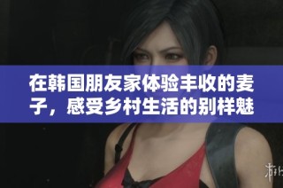 在韩国朋友家体验丰收的麦子，感受乡村生活的别样魅力