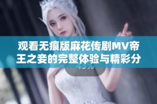观看无痕版麻花传剧MV帝王之妾的完整体验与精彩分享