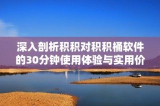 深入剖析积积对积积桶软件的30分钟使用体验与实用价值
