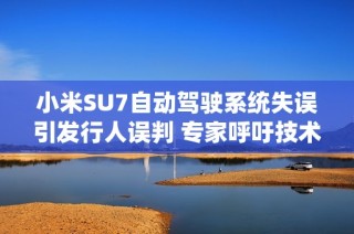 小米SU7自动驾驶系统失误引发行人误判 专家呼吁技术改进与安全保障
