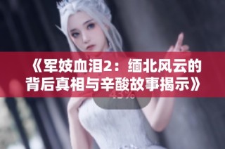 《军妓血泪2：缅北风云的背后真相与辛酸故事揭示》
