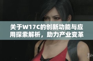 关于W17C的创新功能与应用探索解析，助力产业变革与技术进步
