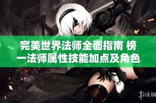 完美世界法师全面指南 榜一法师属性技能加点及角色发展策略分享