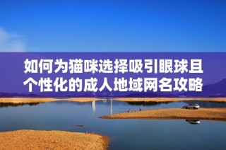 如何为猫咪选择吸引眼球且个性化的成人地域网名攻略