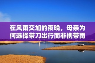 在风雨交加的夜晚，母亲为何选择带刀出行而非携带雨伞的深刻寓意