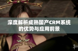 深度解析成熟国产CRM系统的优势与应用前景